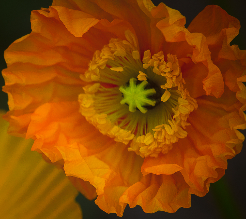 20160522-IMG_0469-3-Edit