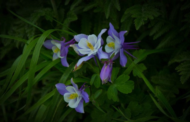 20160522-IMG_0074-2-Edit