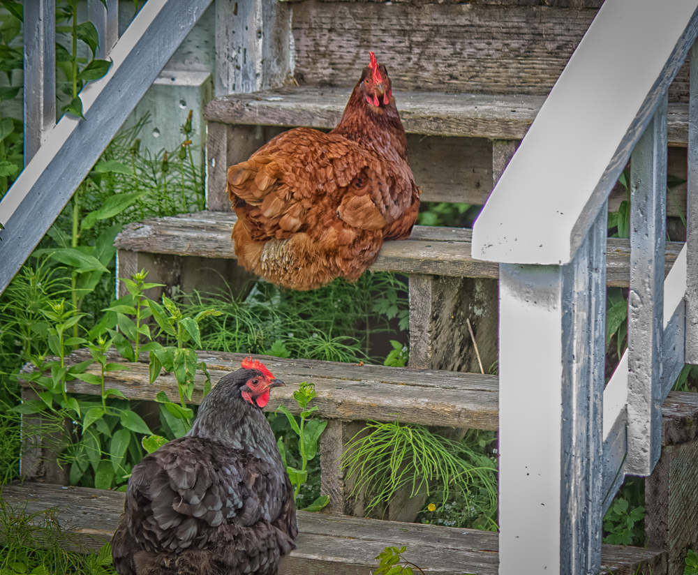 20160523-IMG_0693-Edit