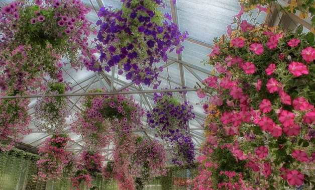 20160524-IMG_0657-Edit-Edit-Edit