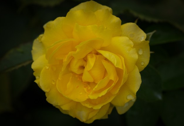 20160703-IMG_0080-Edit