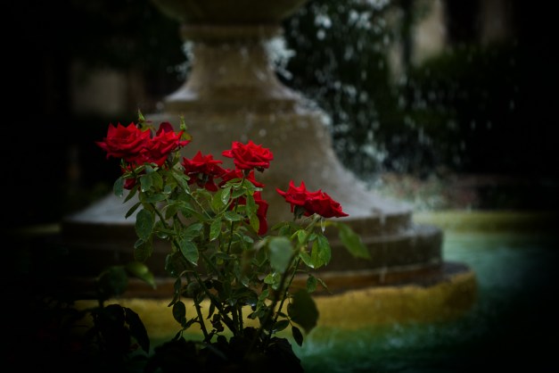 20160703-IMG_0108-Edit