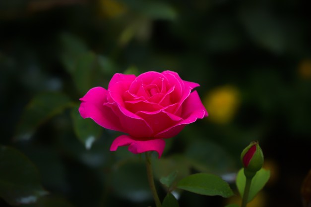 20160703-IMG_0253-Edit