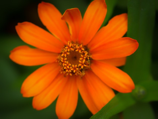 20160703-IMG_0516-Edit