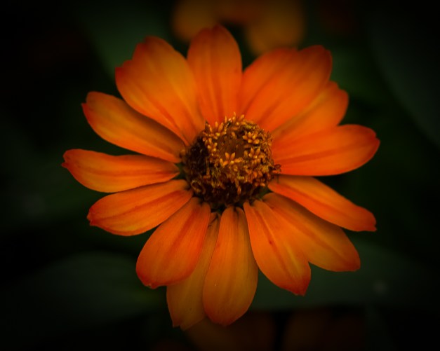 20160703-IMG_0549-Edit