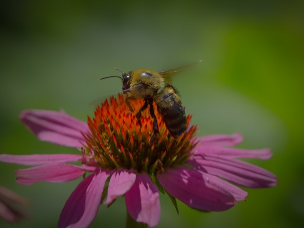 20160710-IMG_0226-Edit