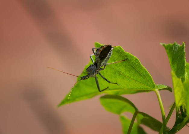 20160723-IMG_0246-Edit-Edit