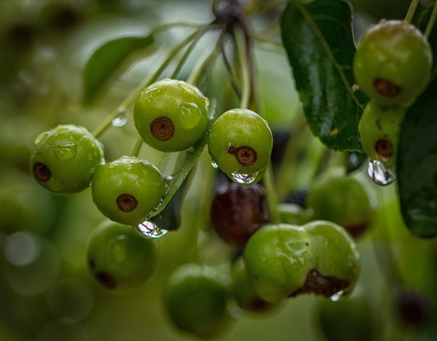 20160731-IMG_0453-Edit