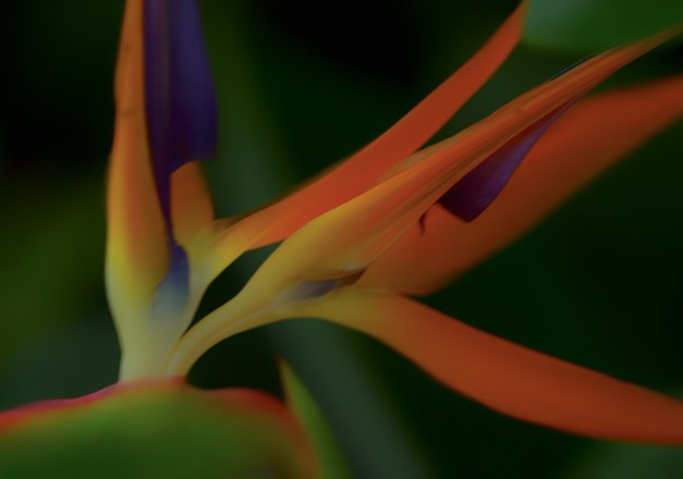 20160807-IMG_0010-Edit-Edit