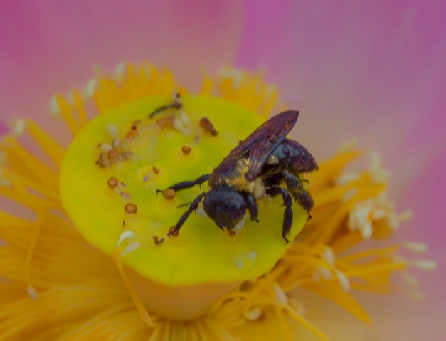 20160807-IMG_0206-Edit