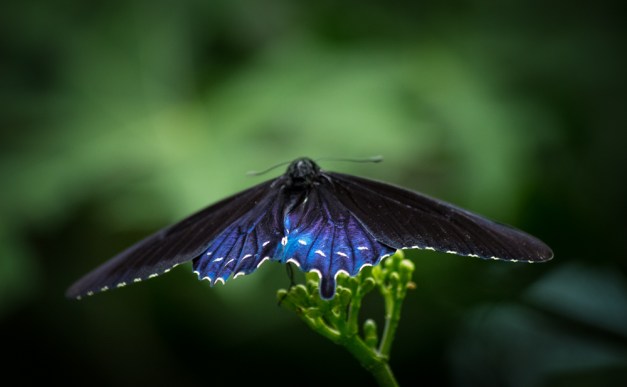 20160814-IMG_0482-Edit