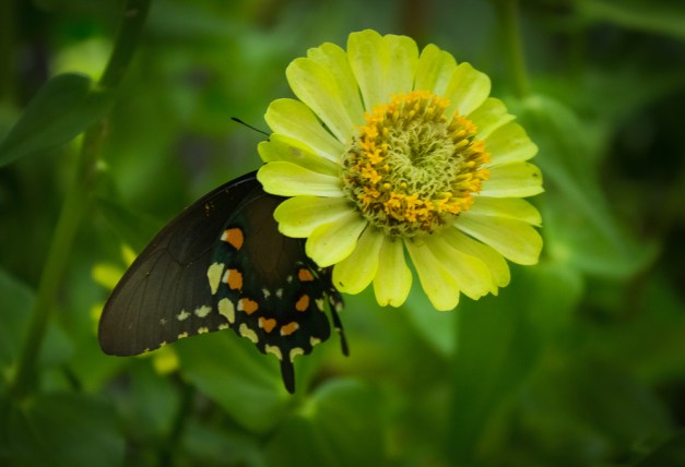 20160820-IMG_0046-Edit