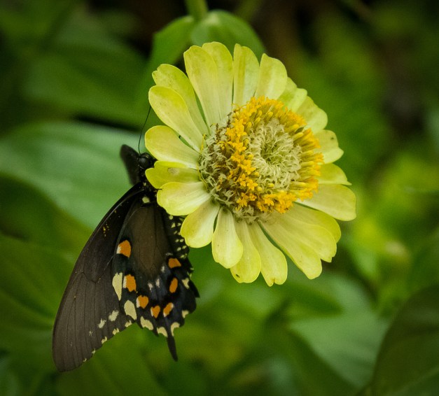 20160820-IMG_0150-Edit