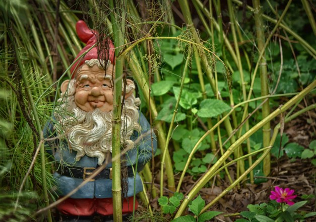 20160820-IMG_0461-Edit-Edit-Edit