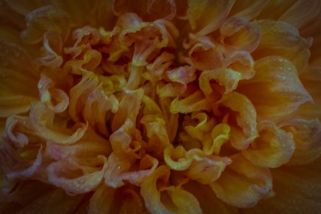 20150906-img_0001-edit