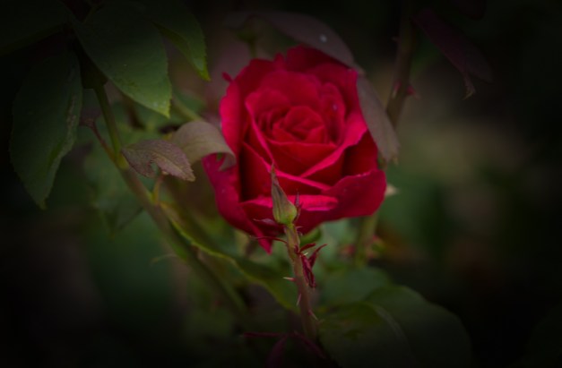 20160703-img_0141-edit