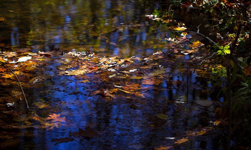 20151101-img_0148-edit-copy