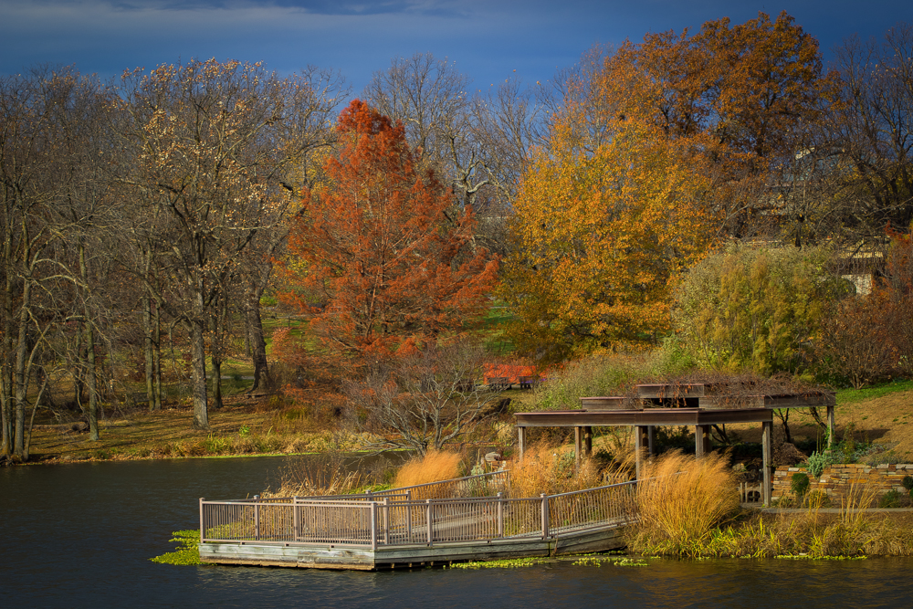 20151115-img_0098-edit-edit