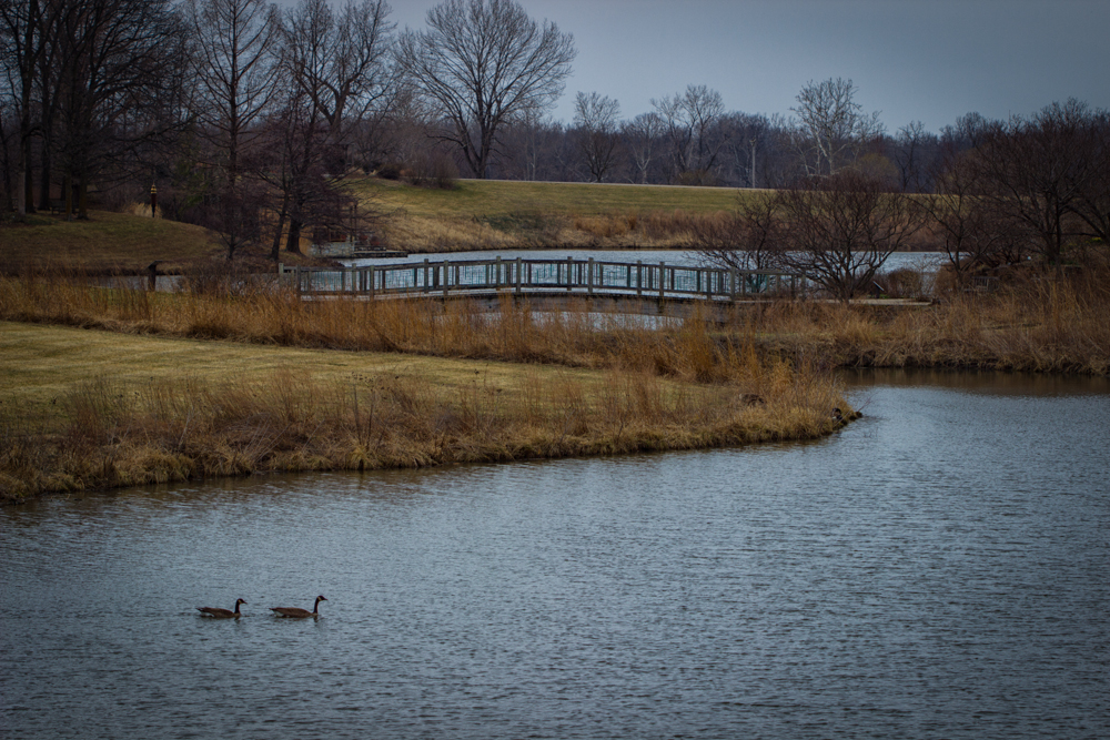 20160306-img_0185-edit-edit