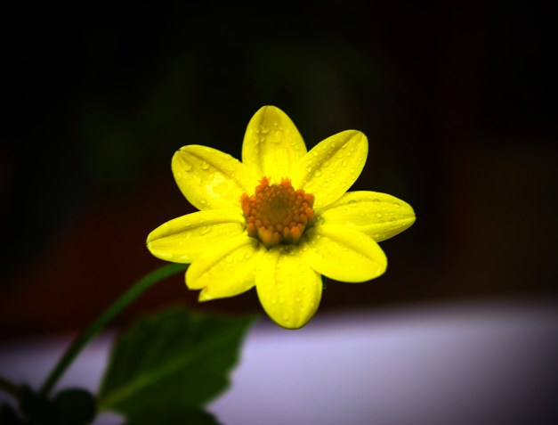 20160904-img_0047-edit