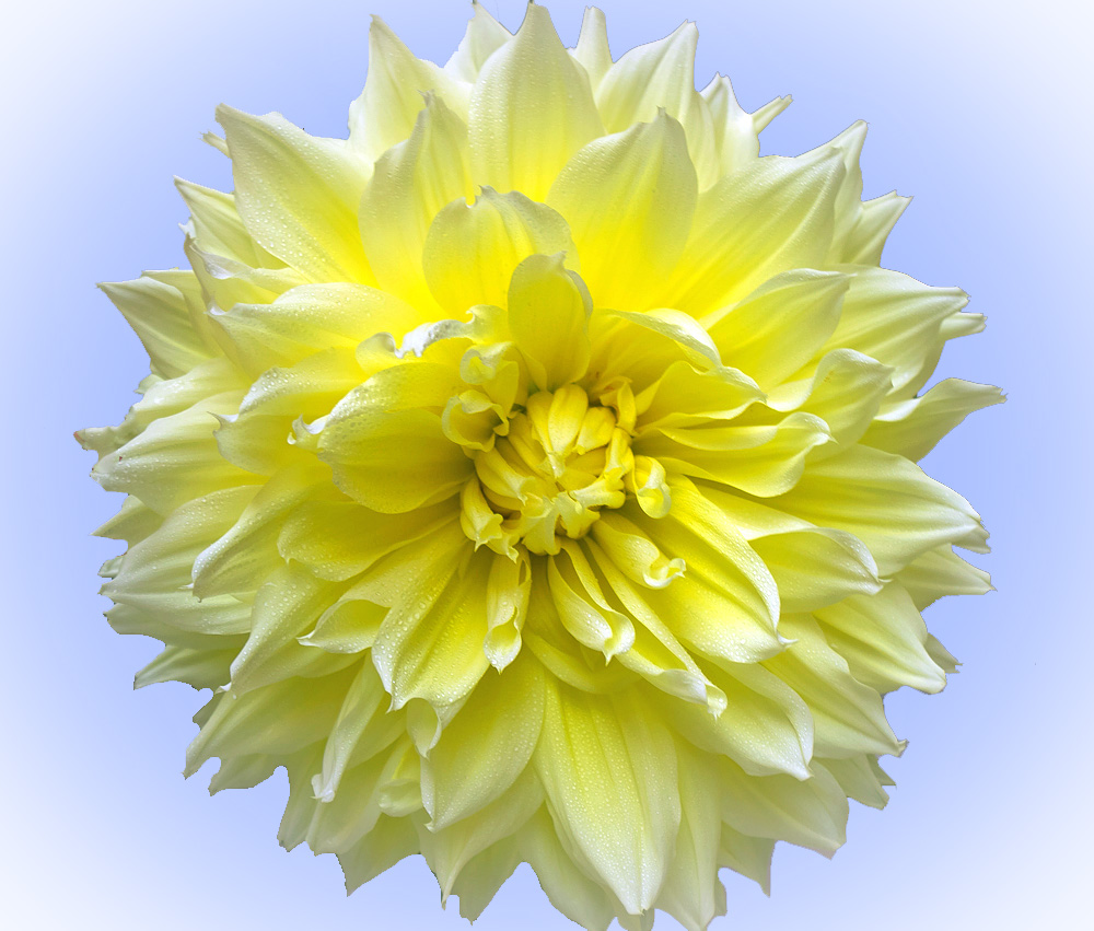 20160904-img_0055-copy