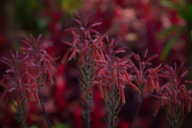 20160924-img_0021-edit