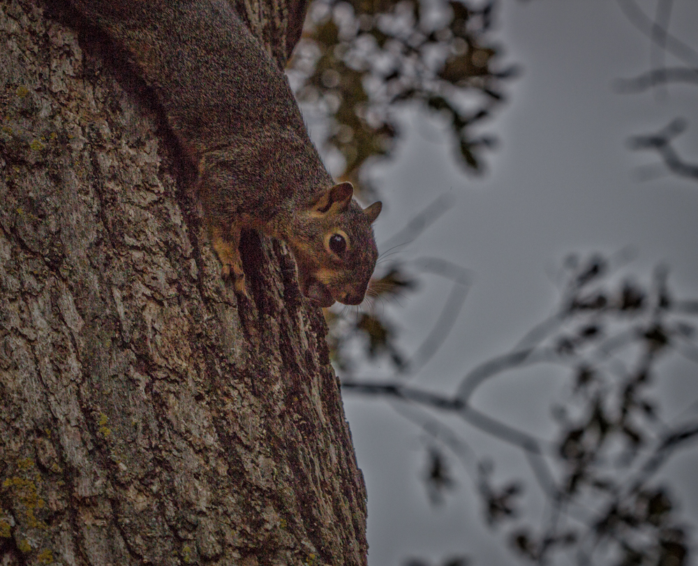 20161015-img_0035-edit