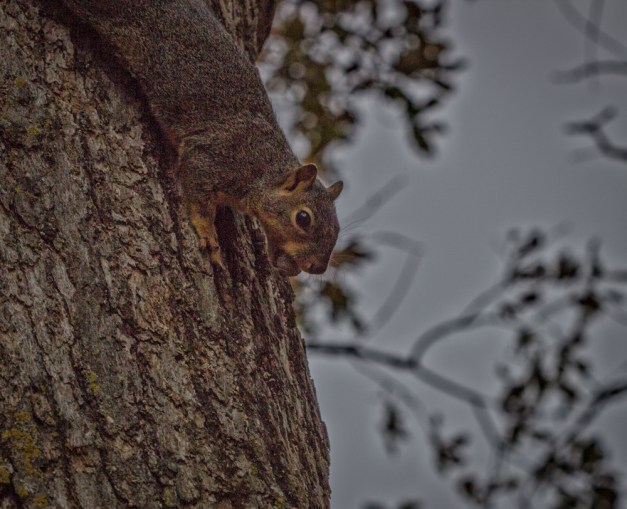 20161015-img_0035-edit