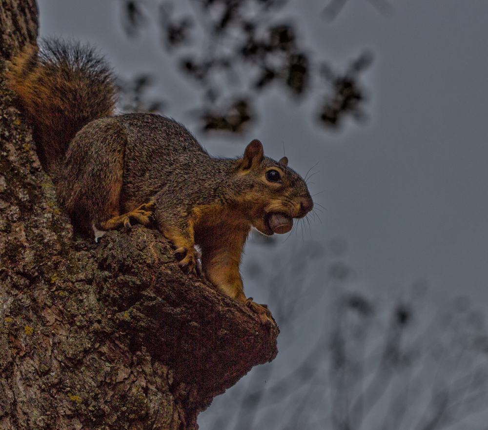 20161015-img_0036-edit-edit-2