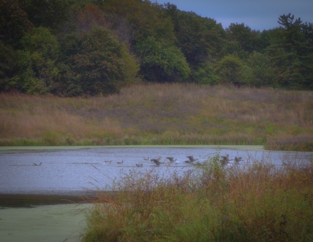 20161015-img_0051-edit-edit-edit