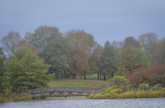 20161015-img_0195-edit-edit-2-edit-edit-edit-edit-edit