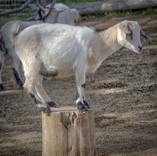 20161028-img_0124-edit