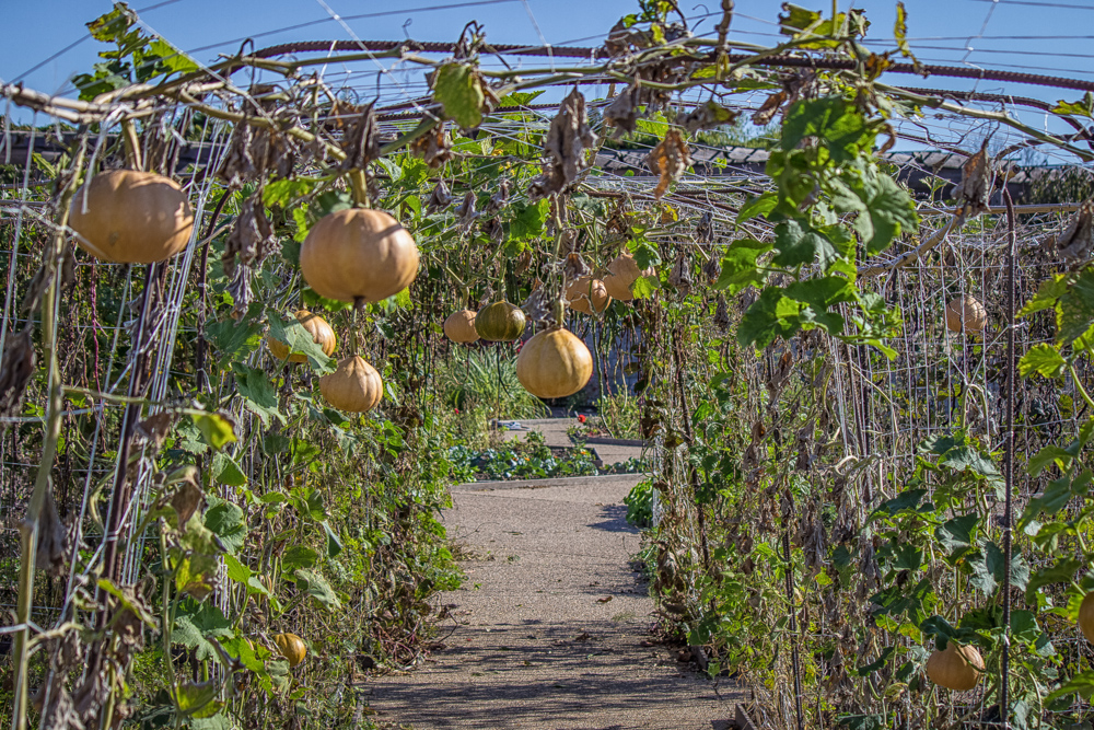 20161023-img_0174-edit