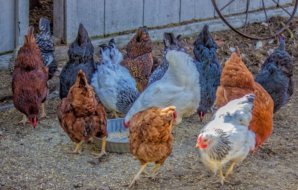 20161028-img_0001-edit