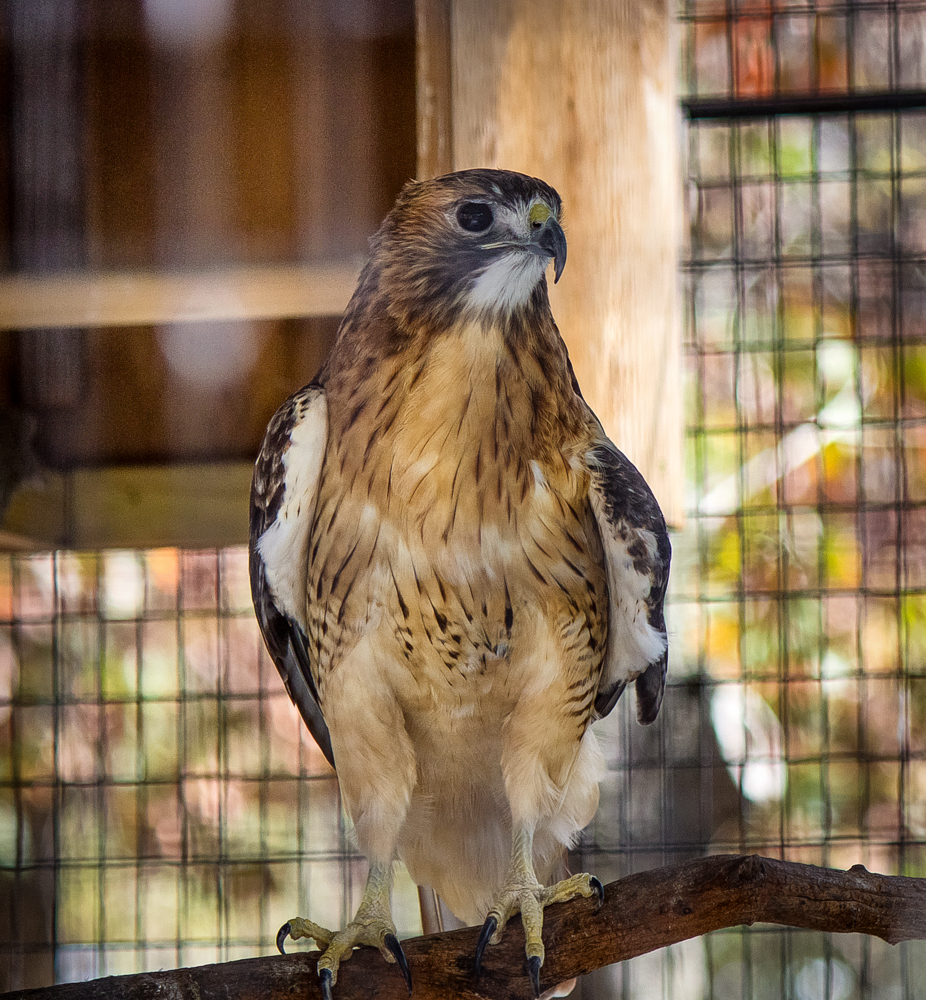 20161028-img_0360-edit