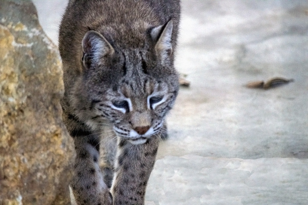 20161028-img_0391-copy