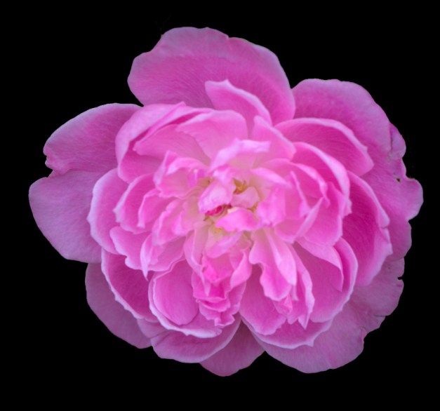 20161105-img_0251-copy