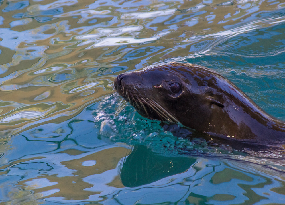 20161111-img_0050-edit