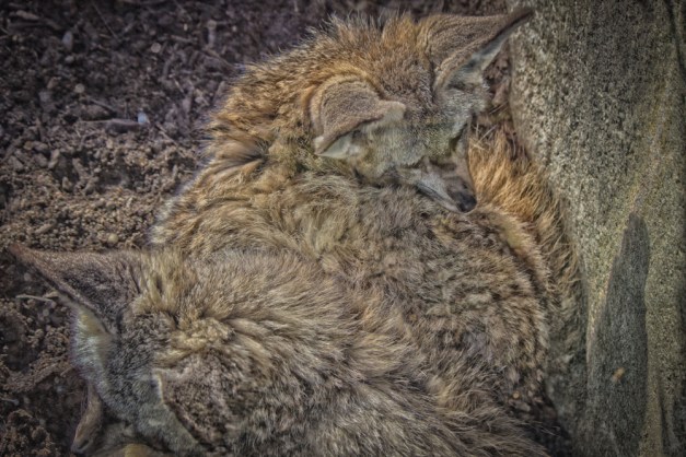 20161111-img_0397-edit