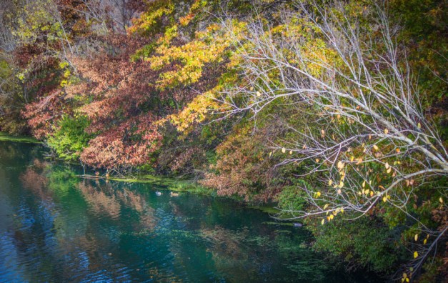 20161111-img_0506-edit