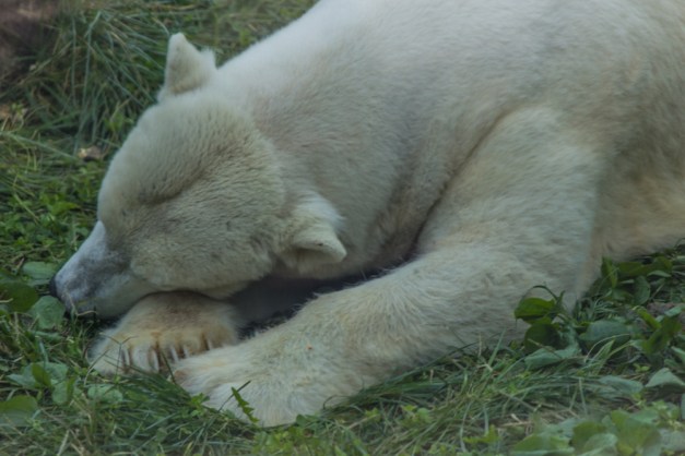 20161111-img_0969-edit