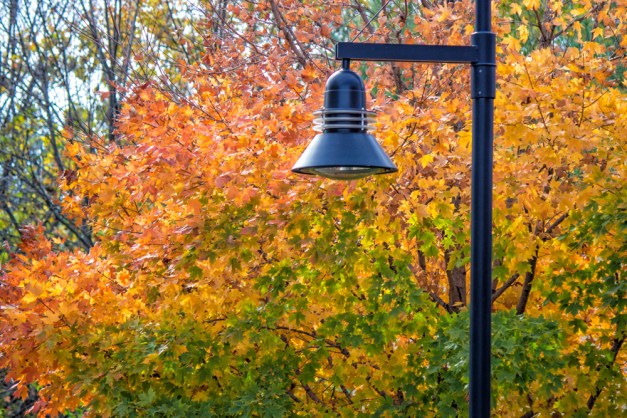 20161111-img_1006-edit