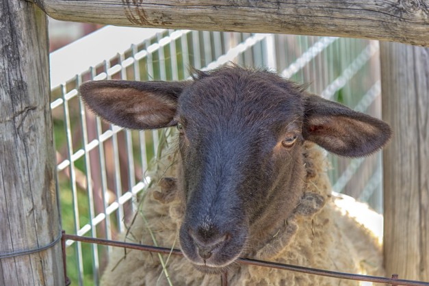 20161028-img_0295-edit-edit