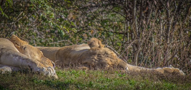 20161111-img_0364-edit