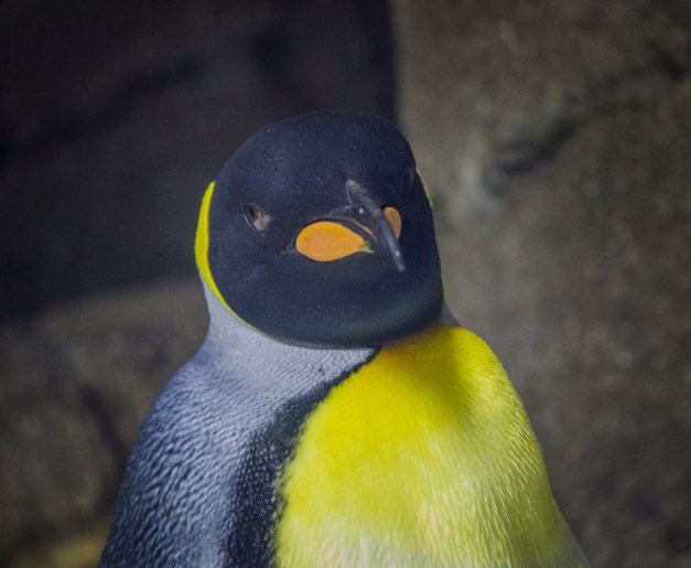 20161111-img_0563-edit