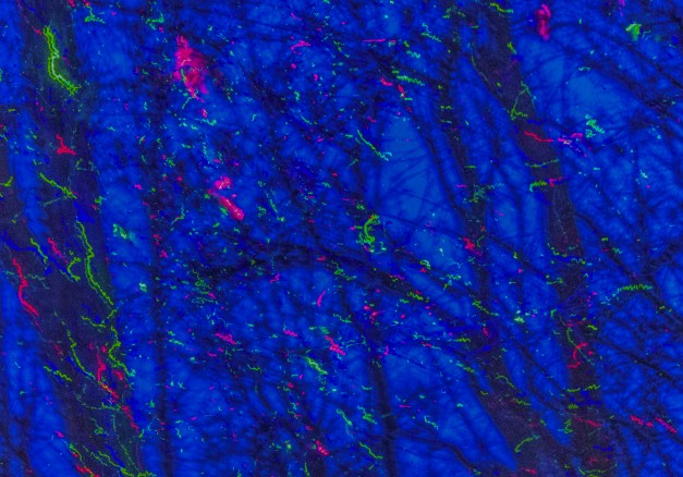 20161210-img_0085-edit