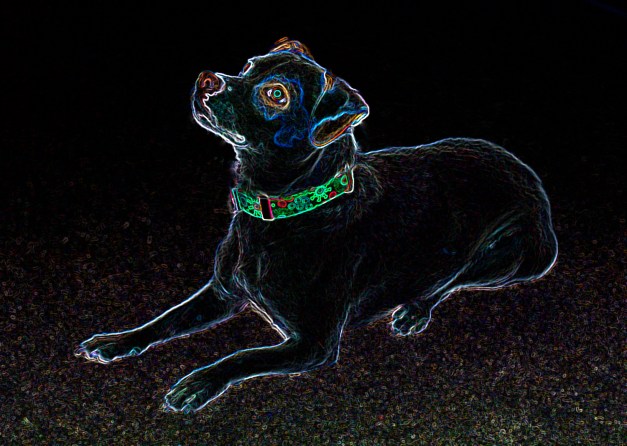 20161216-img_0030-edit-copy