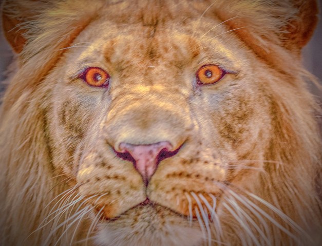 20150916-img_0160-edit-edit