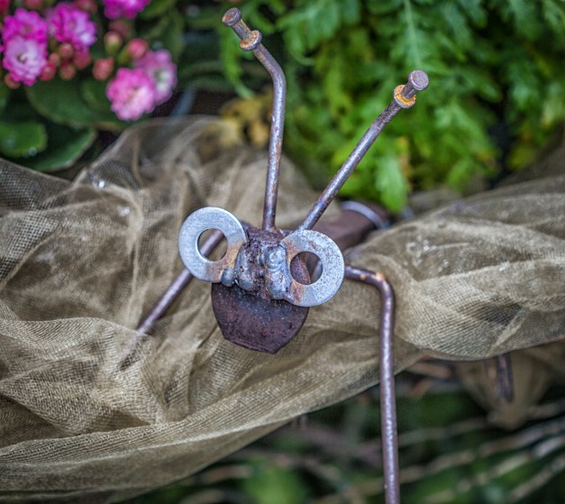 20170120-img_0138-edit