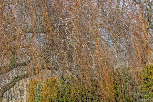 20170120-img_0260-edit